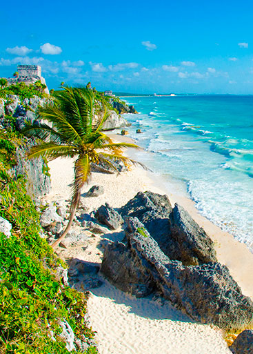 Tulum Transfers